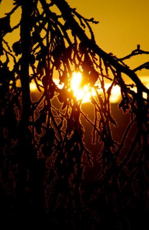 Frosty Sunset - James Dunn Photography