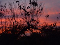 Sunset - Red Sky at Night - Dan Antion