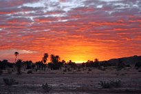 Sahara Desert Sunset - artist Karen Hadfield